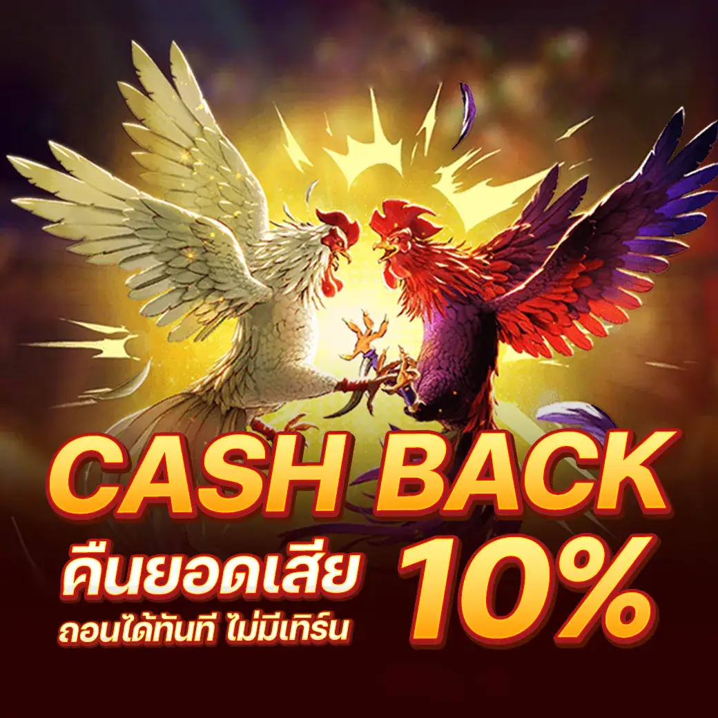 asian899 คืนยอดเสีย 10%